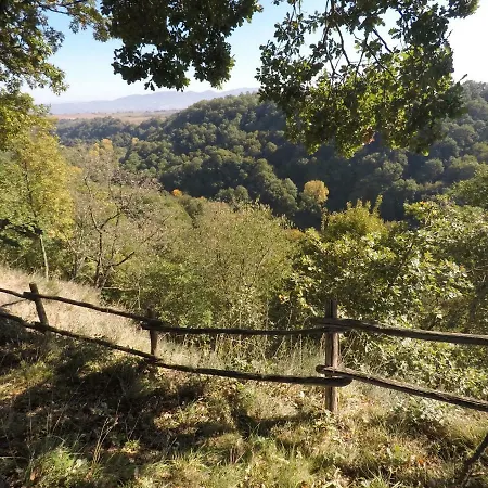 The Nest Holiday home Orvieto