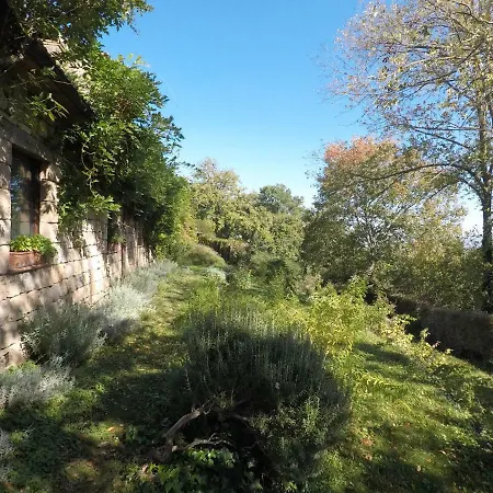 The Nest * Orvieto