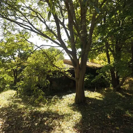 The Nest Holiday home Orvieto