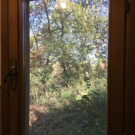 The Nest