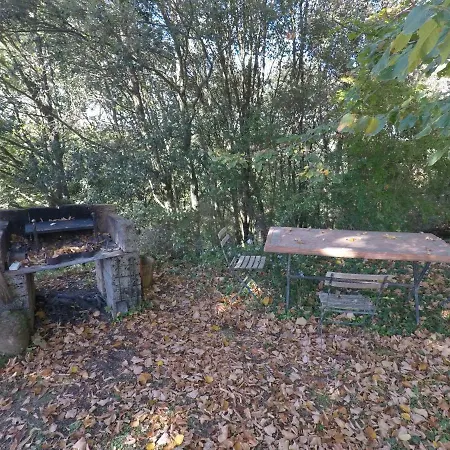 The Nest